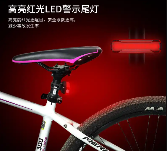 电动自行车led尾灯电压是多少v